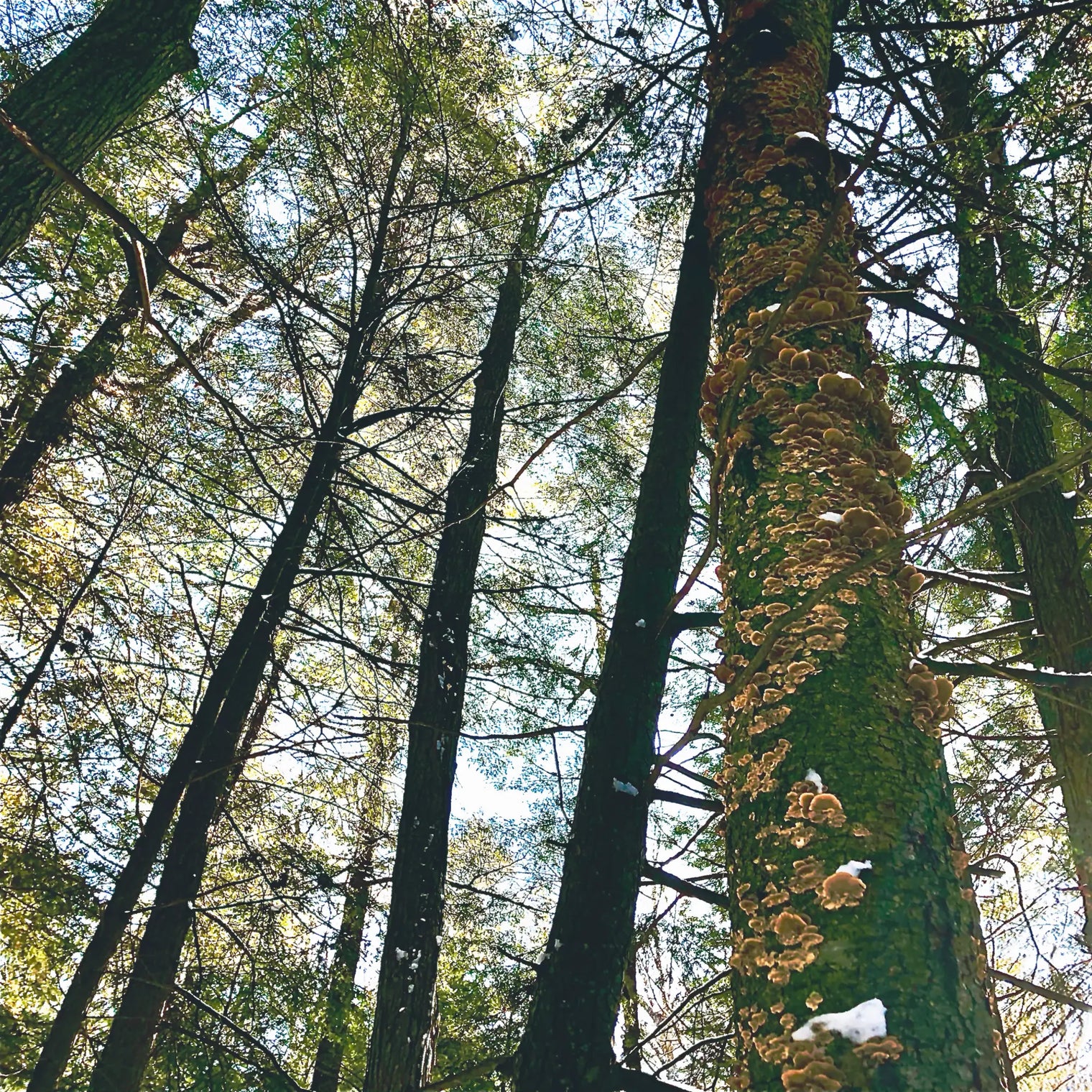 10 Simple Ways to Be Better to the Earth This April