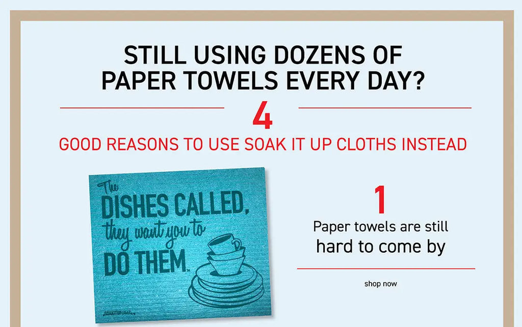 4 good reasons NOT to use paper towels today.