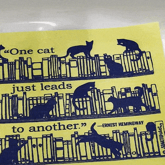 Ernest Hemingway look-alike contest in Key West tradition continues