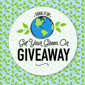 Giveaway Alert! $250 of Eco-friendly Products to Get your Green On