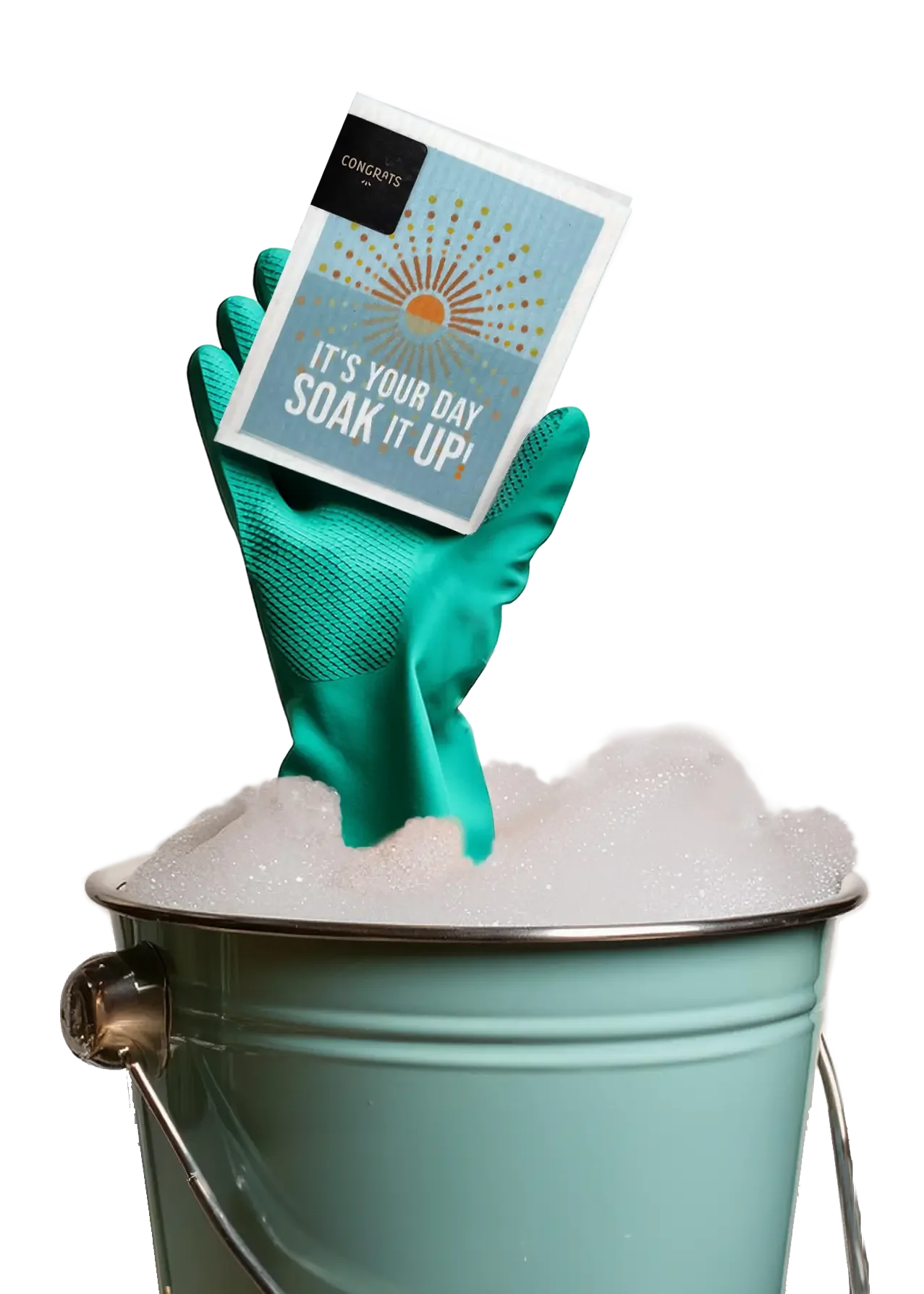 Sustainable Success: Carla Scholz’s Inspiring Journey