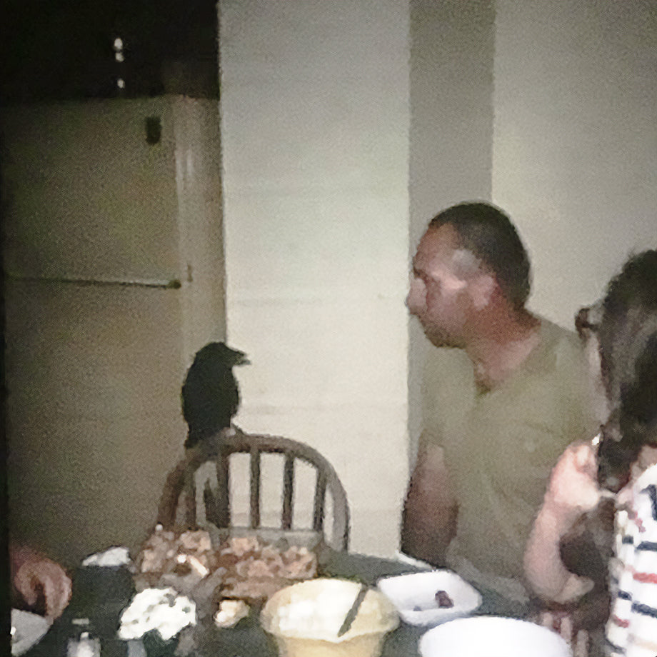 black status crow perched on wooden chair back illustrating the status crow greeting and status quo theme