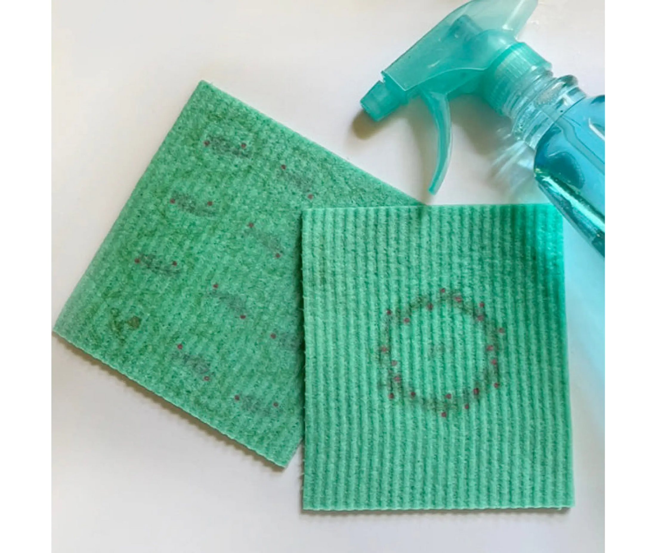 Joy Holiday Wreath Clard—Greetings that Clean Up - Eco