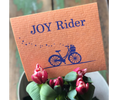 Load image into Gallery viewer, Joy Rider Bicycle - Swedish Dishcloths
