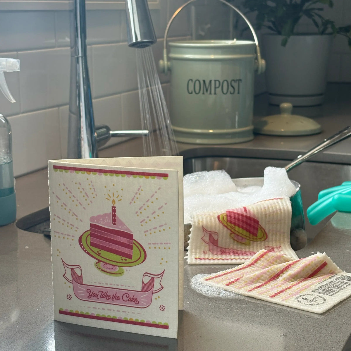 Clard You Take Cake | Patented Eco Greeting Clards | Soak iT Up – Soak iT Up